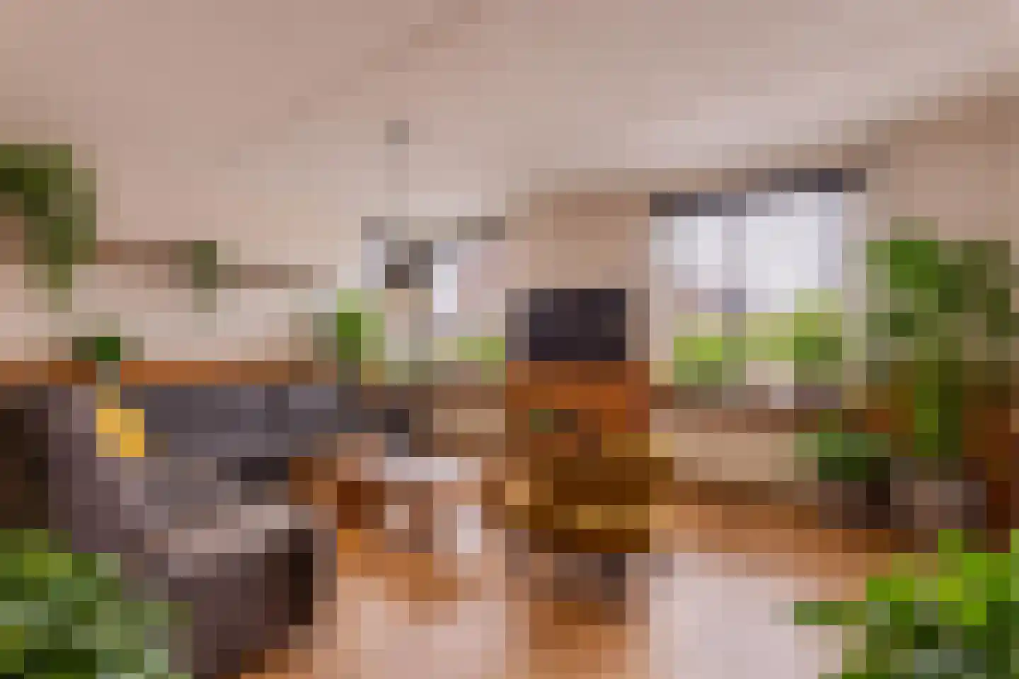 Tjalkstraat 5 Lemelerveld thumbnail 4