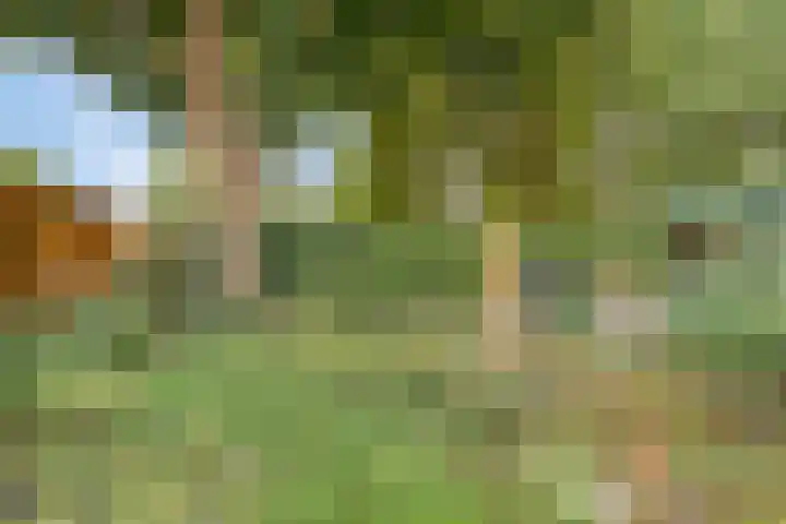 Tjamme 26 Veendam thumbnail 12