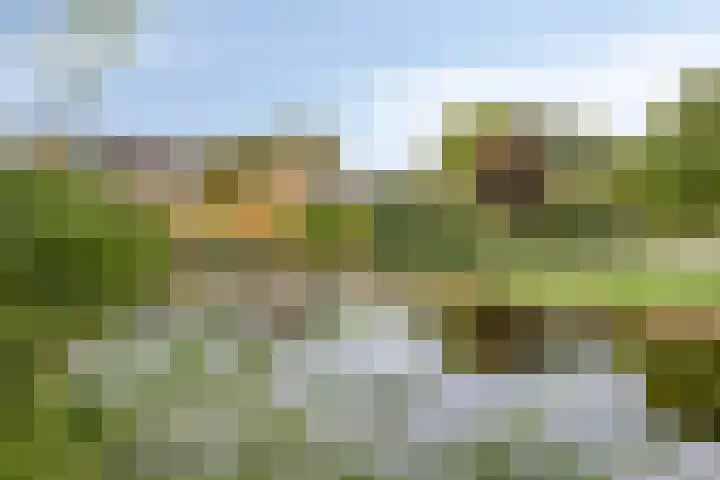 Tjamme 26 Veendam thumbnail 13