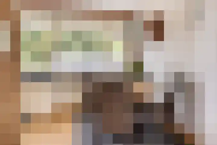 Tjamme 26 Veendam thumbnail 20