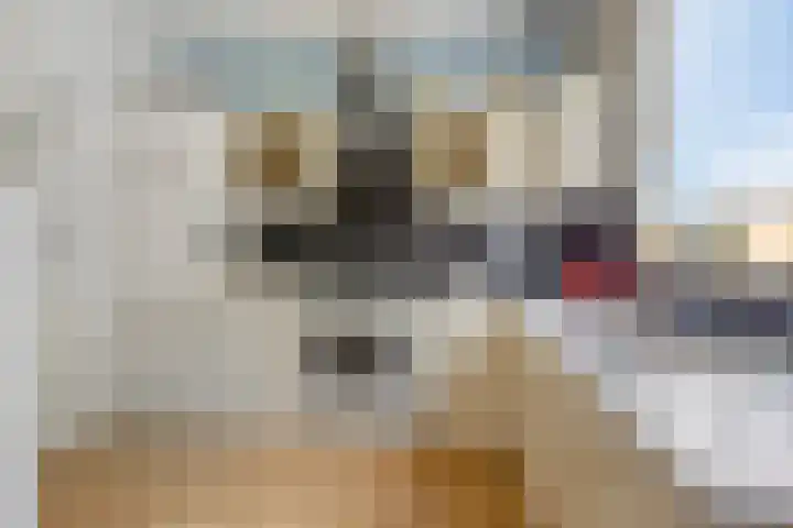 Tjamme 26 Veendam thumbnail 21