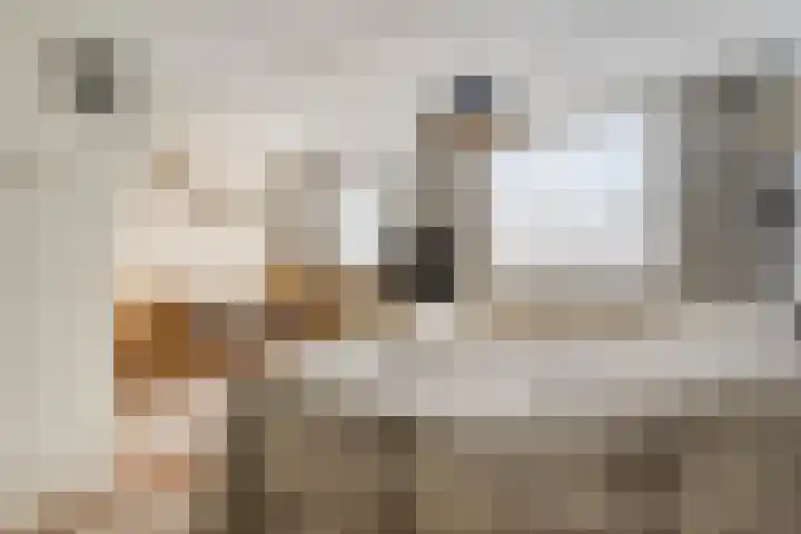 Tjamme 26 Veendam thumbnail 30