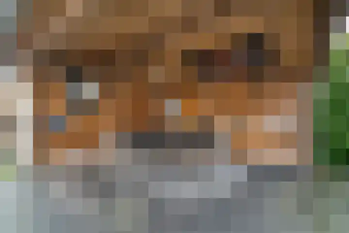 Tjariet 33 Veendam thumbnail 27