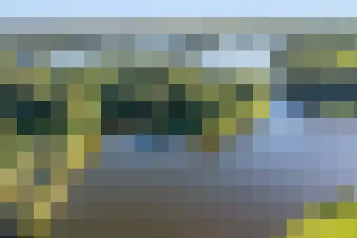 Tjariet 33 Veendam thumbnail 39
