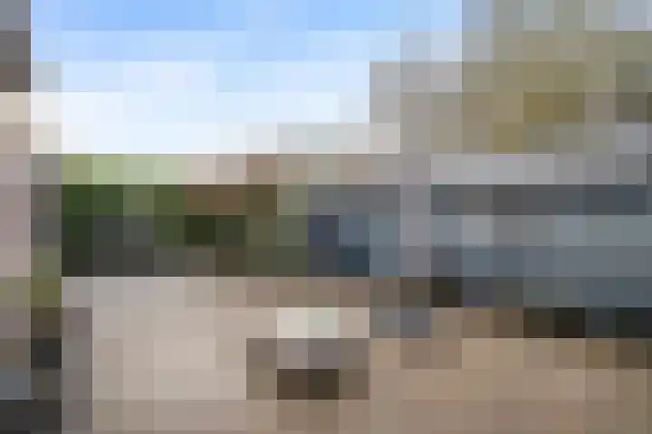Tjariet 33 Veendam thumbnail 5