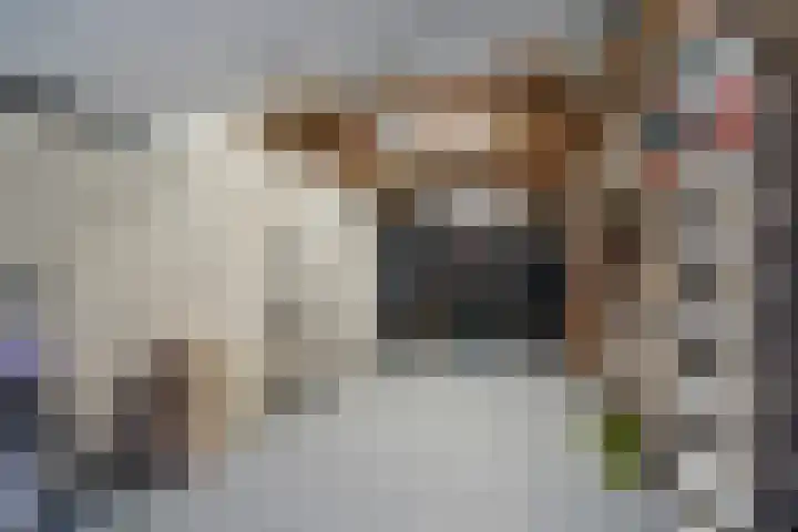 Tjariet 44 Veendam thumbnail 28