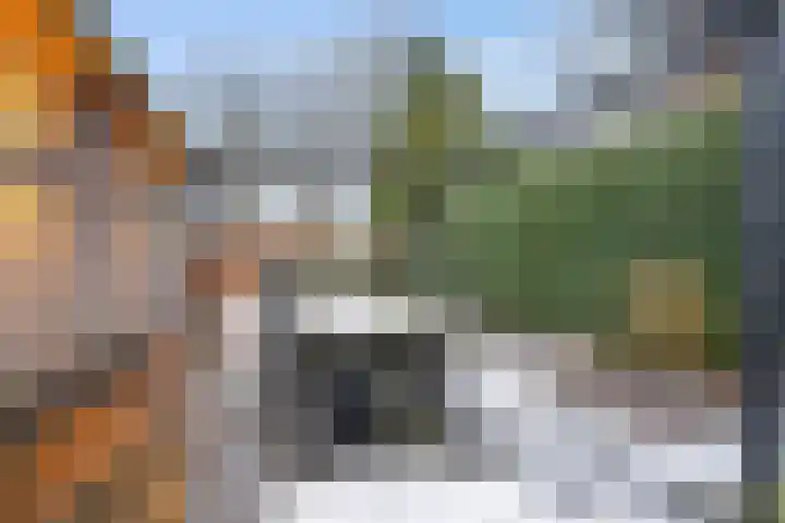 Tjariet 44 Veendam thumbnail 31