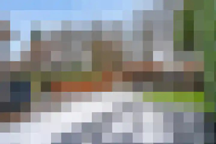 Tjariet 44 Veendam thumbnail 32