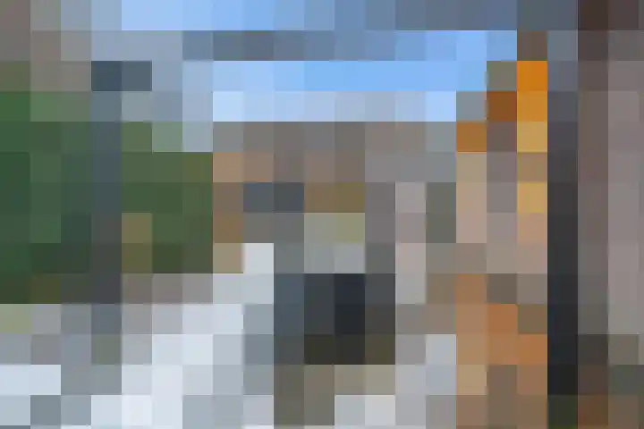 Tjariet 44 Veendam thumbnail 36