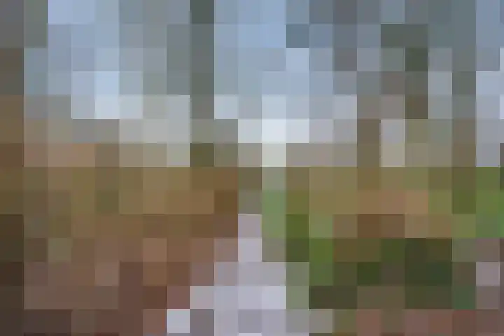 Tjariet 44 Veendam thumbnail 38