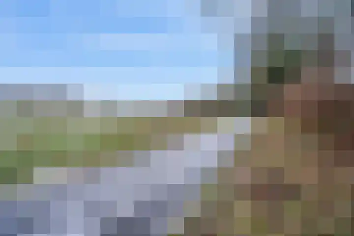 Tjariet 44 Veendam thumbnail 39