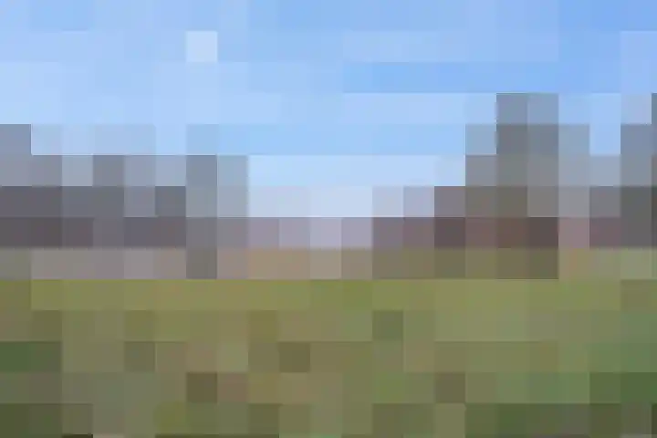 Tjariet 44 Veendam thumbnail 40