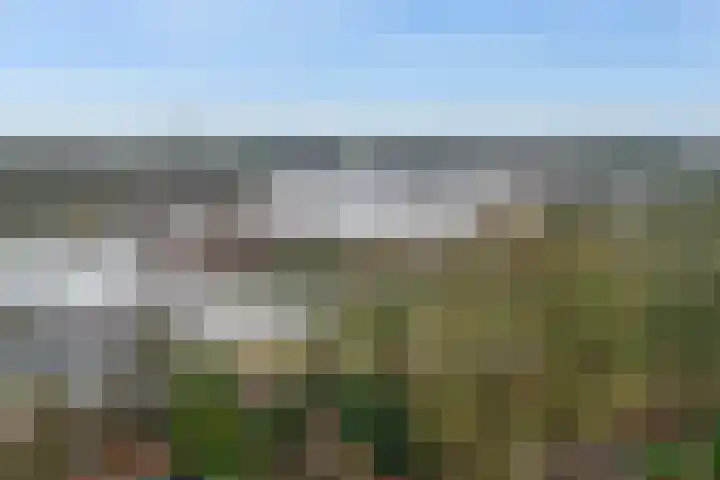 Tjariet 44 Veendam thumbnail 44