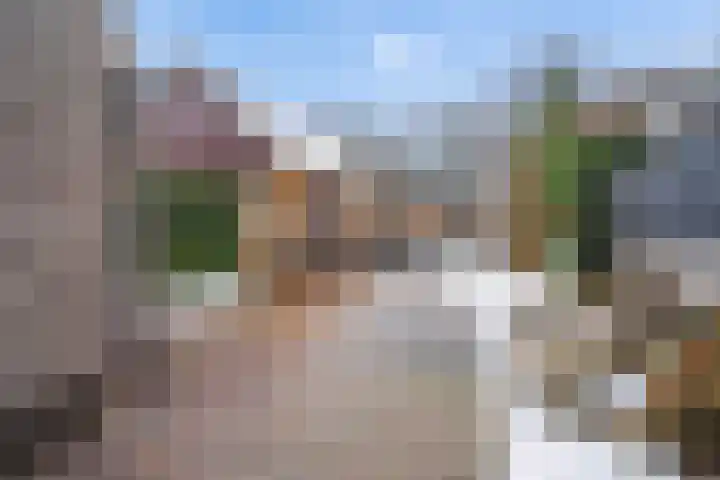 Tjariet 44 Veendam thumbnail 5