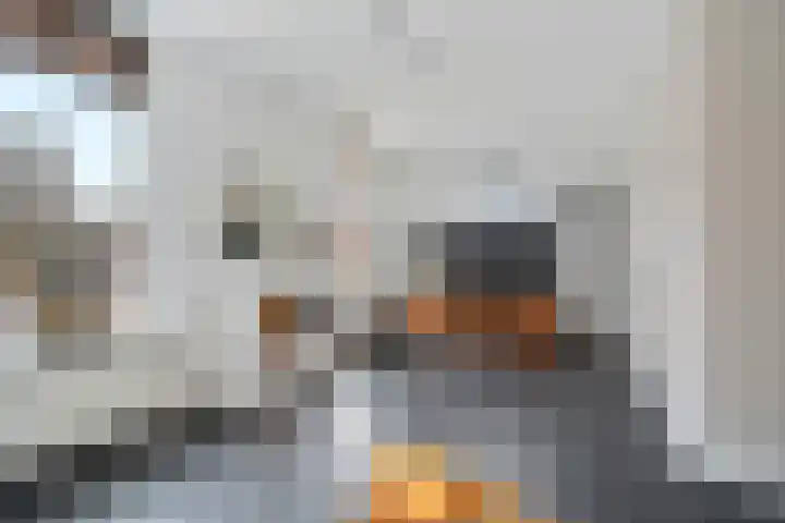Tjariet 44 Veendam thumbnail 8