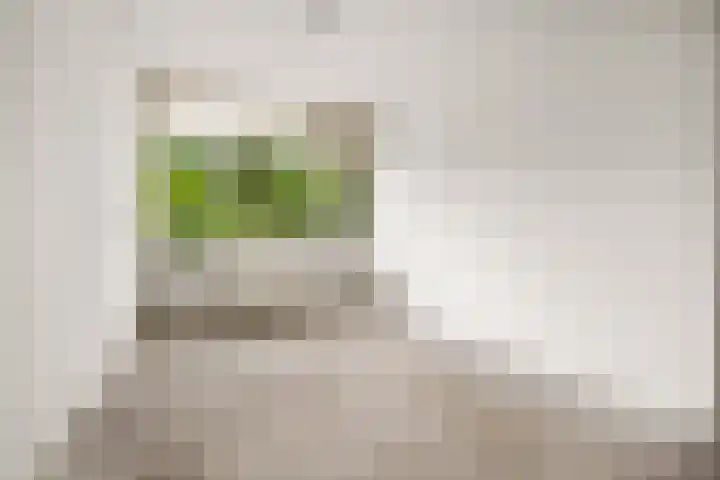 Tjasker 2 Amsterdam thumbnail 15