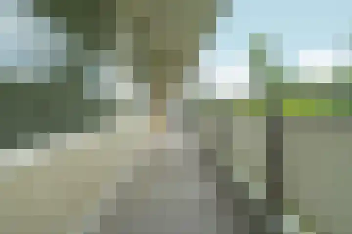 Tjasker 2 Amsterdam thumbnail 19