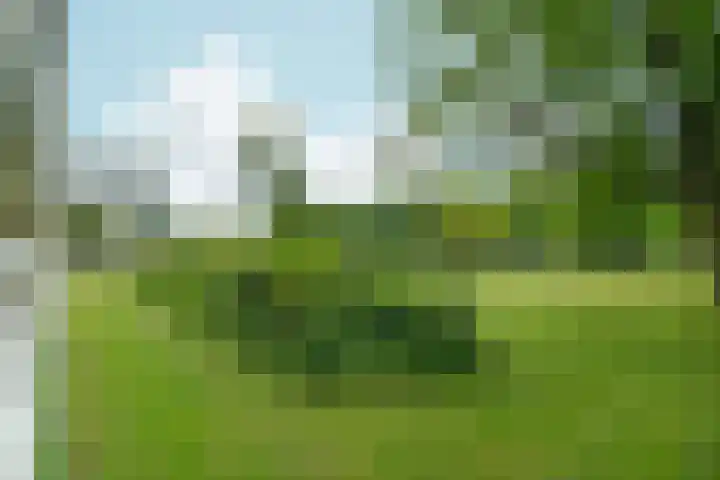 Tjasker 2 Amsterdam thumbnail 21