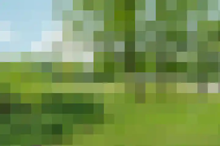 Tjasker 2 Amsterdam thumbnail 22