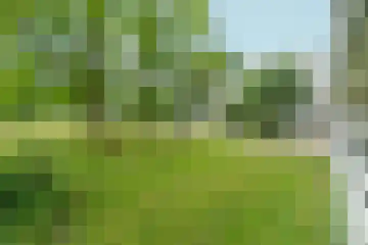 Tjasker 2 Amsterdam thumbnail 23