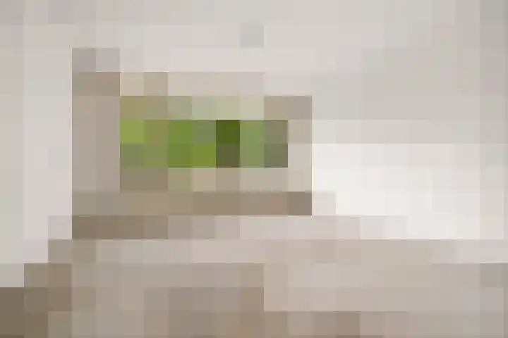 Tjasker 2 Amsterdam thumbnail 5