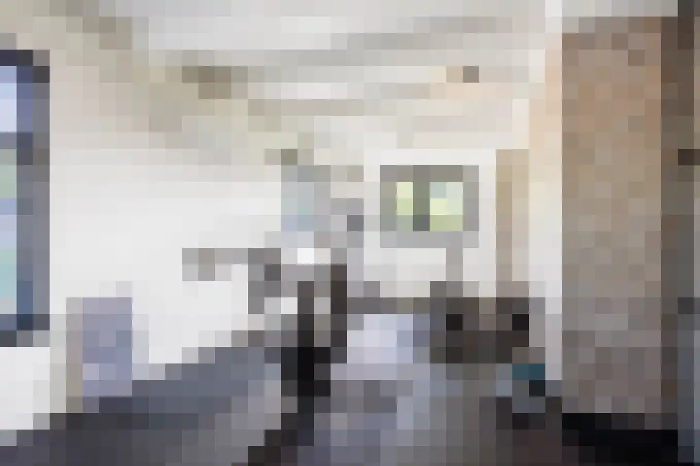 Tjessingawei 12 Firdgum thumbnail 36