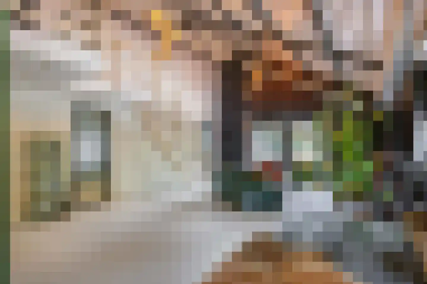 Tjessingawei 12 Firdgum thumbnail 80