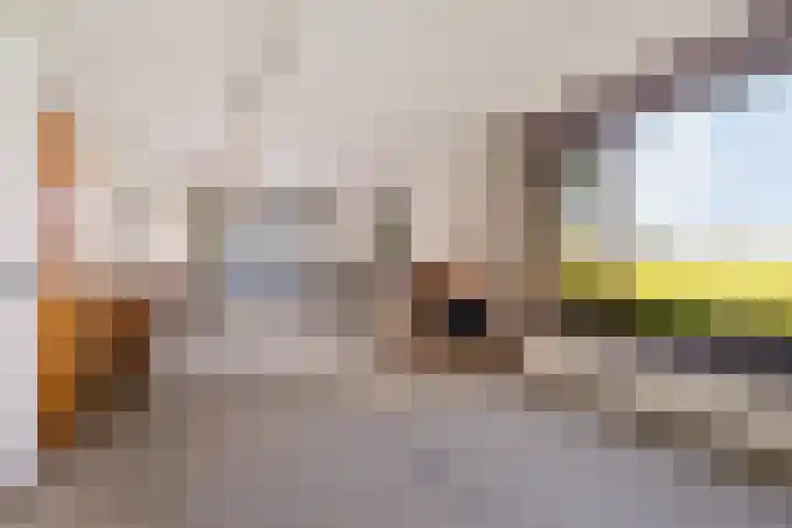 Tjitze de Boerstrjitte 5 Wirdum thumbnail 12