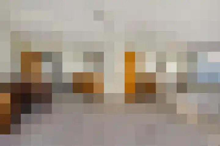 Tjitze de Boerstrjitte 5 Wirdum thumbnail 14