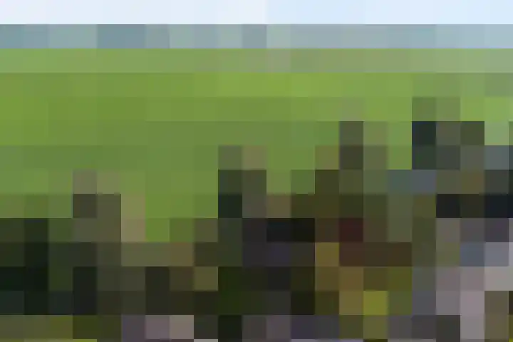 Tjitze de Boerstrjitte 5 Wirdum foto 2
