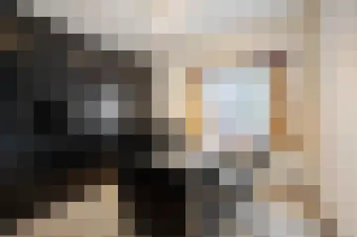 Tjitze de Boerstrjitte 5 Wirdum thumbnail 25