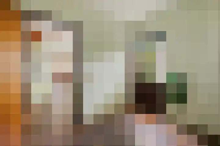 Tjitze de Boerstrjitte 5 Wirdum thumbnail 28