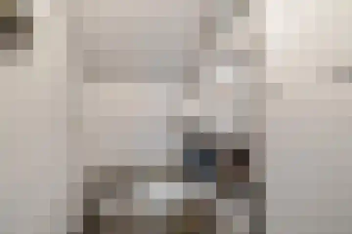 Tjitze de Boerstrjitte 5 Wirdum thumbnail 35