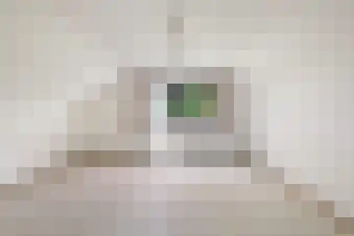 Tjitze de Boerstrjitte 5 Wirdum thumbnail 36