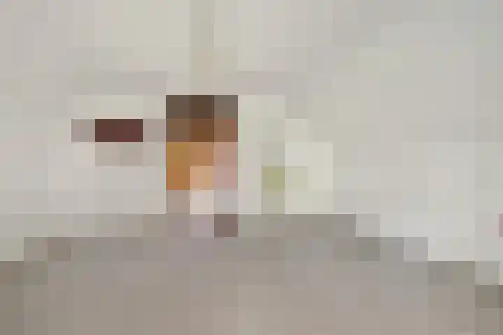 Tjitze de Boerstrjitte 5 Wirdum thumbnail 37