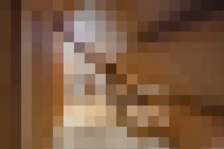 Tjitze de Boerstrjitte 5 Wirdum thumbnail 38