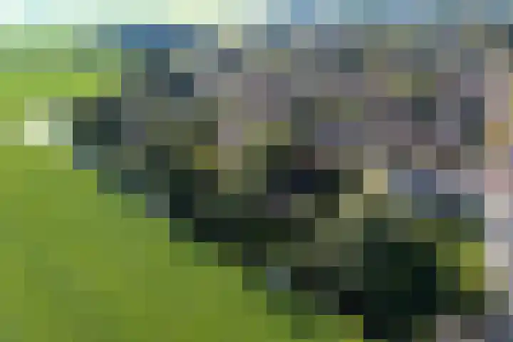 Tjitze de Boerstrjitte 5 Wirdum thumbnail 43