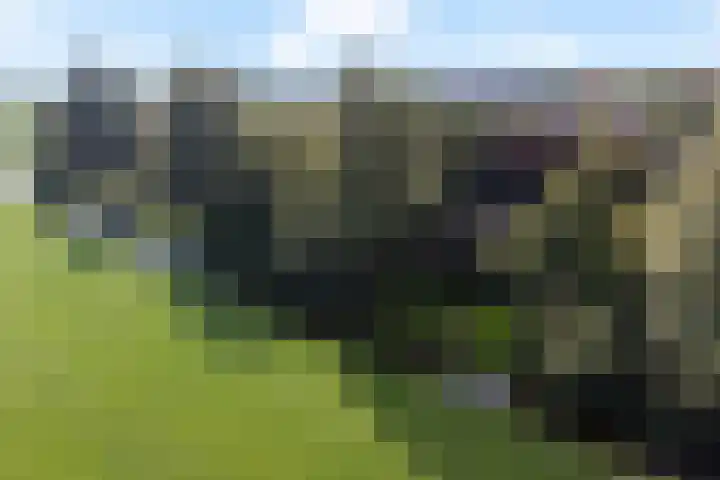 Tjitze de Boerstrjitte 5 Wirdum thumbnail 47