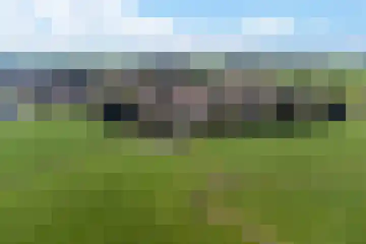 Tjitze de Boerstrjitte 5 Wirdum thumbnail 48