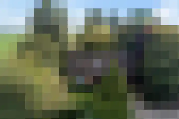 Tjitze de Boerstrjitte 5 Wirdum thumbnail 49