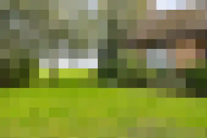 Tjitze de Boerstrjitte 5 Wirdum thumbnail 5