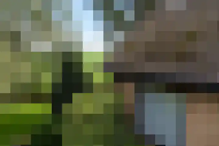 Tjitze de Boerstrjitte 5 Wirdum thumbnail 52