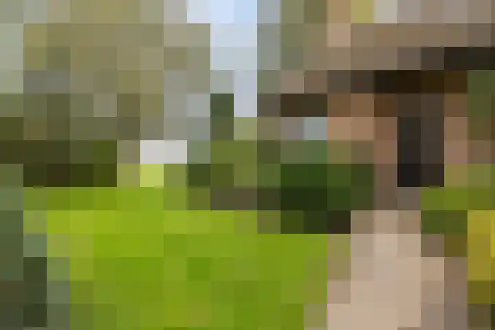 Tjitze de Boerstrjitte 5 Wirdum thumbnail 53