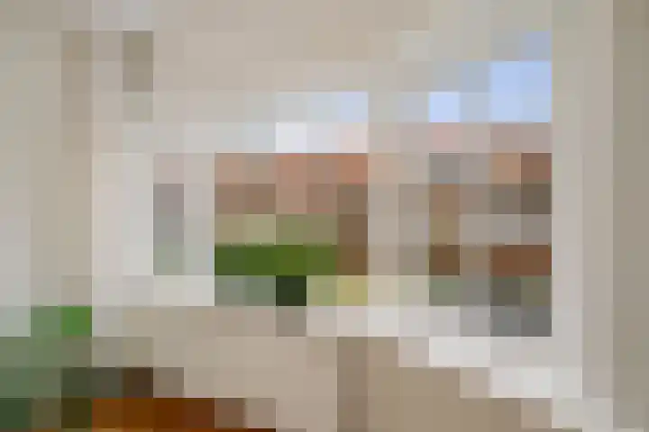 Tjoenerstraat 13 Deventer thumbnail 6