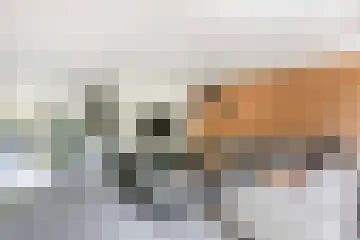 Tjonger 3 De Meern thumbnail 12