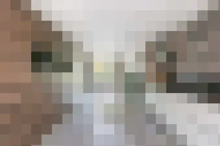 Tjonger 3 De Meern thumbnail 13