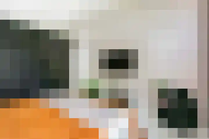 Tjonger 3 De Meern thumbnail 16