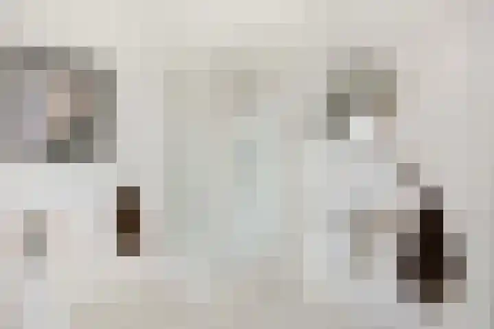 Tjonger 3 De Meern thumbnail 22