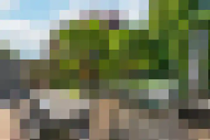 Tjonger 3 De Meern thumbnail 24