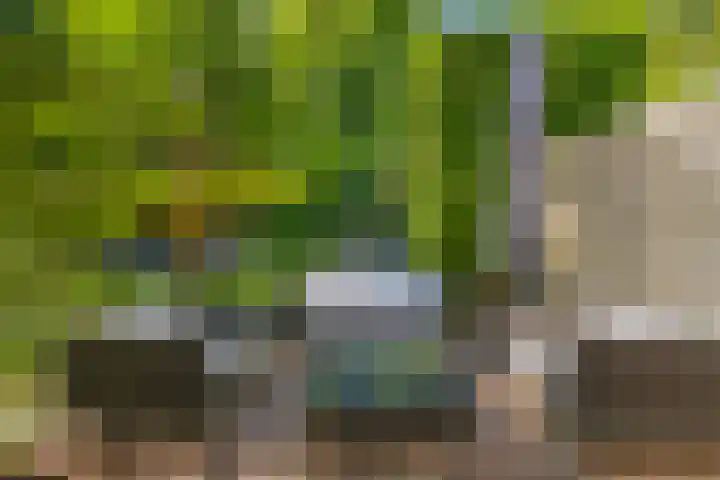 Tjonger 3 De Meern thumbnail 25